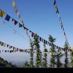 mcleod ganj - himalayan glimpses