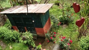 the common bathroom and loo