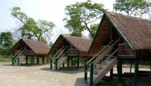 Banashree Eco camp Dibru-Saikhowa 