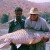 salmon fishing in india