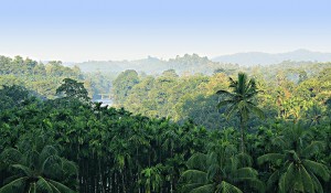 View from around Arasinamakki